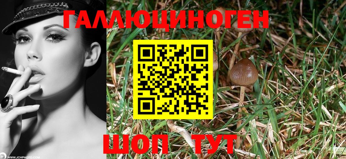 Галлюциногенные грибы Magic Shrooms Зеленокумск